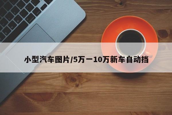 小型汽车图片/5万一10万新车自动挡